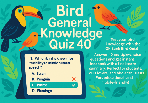 20250430_1937_Bird Knowledge Quiz_simple_compose_01jt3g9pfcfnwrq83vkstwawa4 20250430_1937_Bird Knowledge Quiz_simple_compose_01jt3g9pfcfnwrq83vkstwawa4